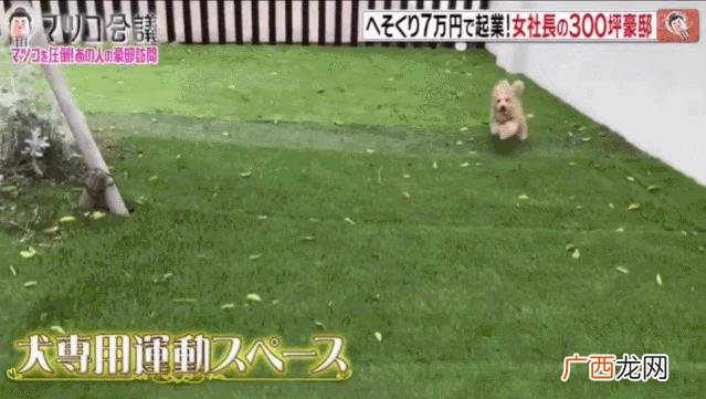 创业成功人士的案例简短,离婚女人创业成功的事迹