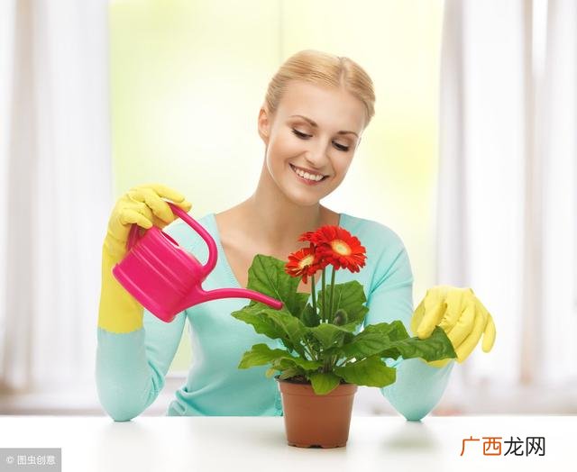 促进生长发育的激素有哪些,生长激素有哪几种