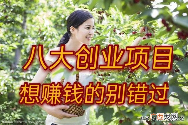农村创业的好项目成本低 家在农村创业的优势