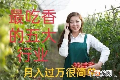 农村十大暴利行业 适合农村的致富小机器商机