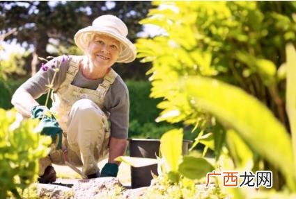 园林绿化养护师报考条件,园林绿化资质证书怎么考