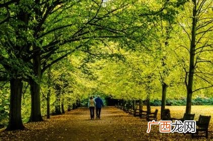 园林绿化养护师报考条件,园林绿化资质证书怎么考