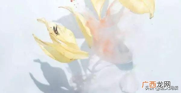 创业史好句摘抄赏析20句,创业史的好句及赏析