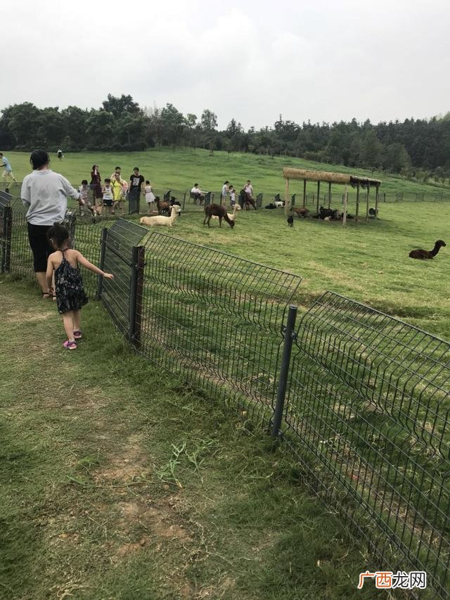 去银杏湖乐园要带什么,银杏湖游乐场有哪些项目