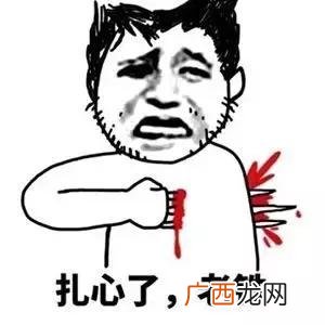 严介和介绍,严介创业经历