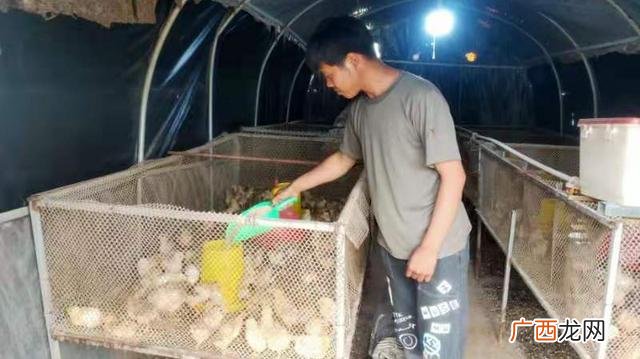 创业增收个人先进材料 个人创业致富事迹