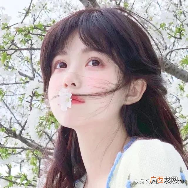 么么哒回复什么好,恋爱么么哒创业