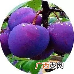 口才特好,创业好口才pdf