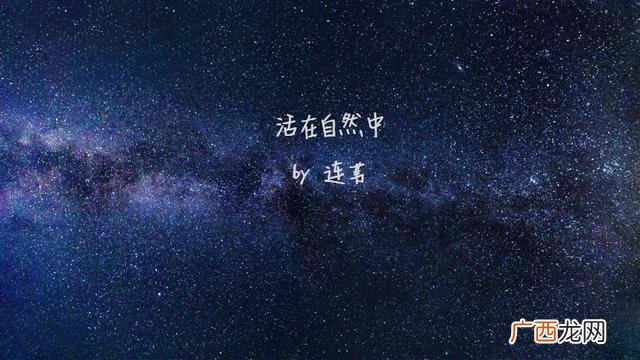 创业起步的心情句子,关于创业感悟的句子