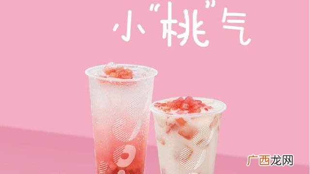 创业团队,创业团队现状怎么写 奶茶店
