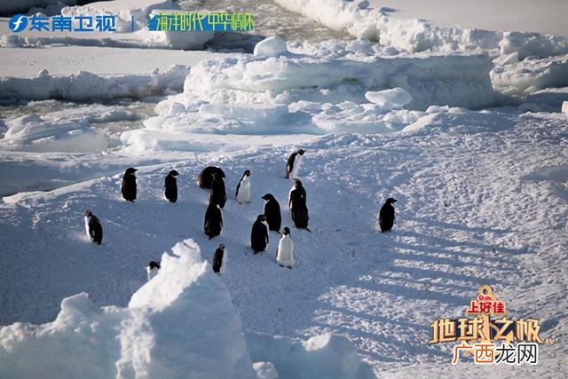 侣行夫妻破冰船 侣行夫妻学历