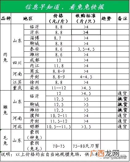 三四斤的兔子多少钱,附近养兔场