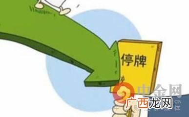 上市首日临时停牌 注册制新股上市停牌规则