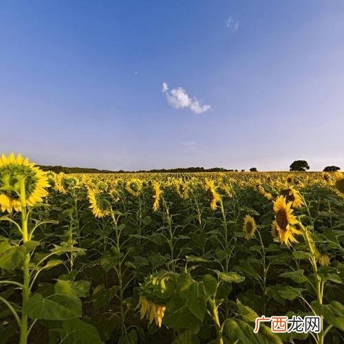 一起努力创业的句子,志同道合创业者的说说