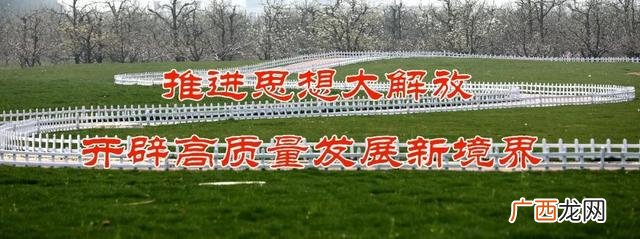 同科老板杨波最新动态 杨波创新创业