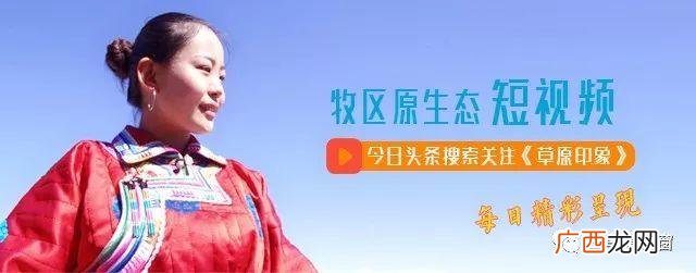 免费招代理卖衣服,衣服代理商加盟代理