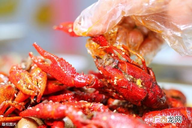一级龙虾尾多少钱一斤,蒜蓉龙虾尾