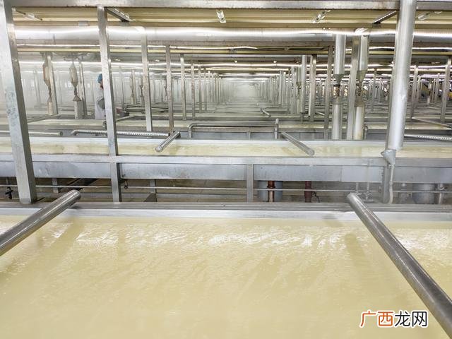 在家怎么做腐竹 创业在家加工腐竹
