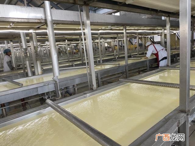 在家怎么做腐竹 创业在家加工腐竹