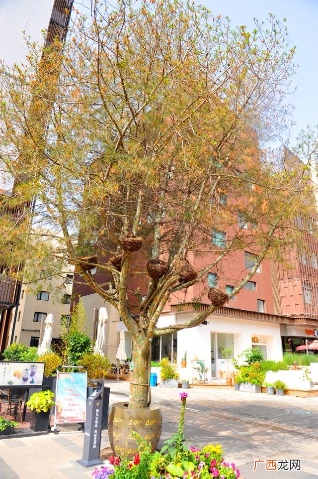 去咖啡街区,创业咖啡街区