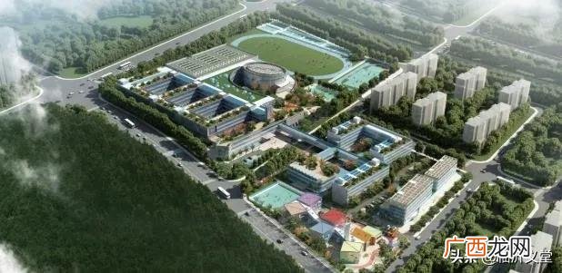 临沂义堂镇规划图最新2020图,义堂创业路规划