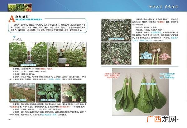 土壤酸碱平衡调节剂,土壤调理剂