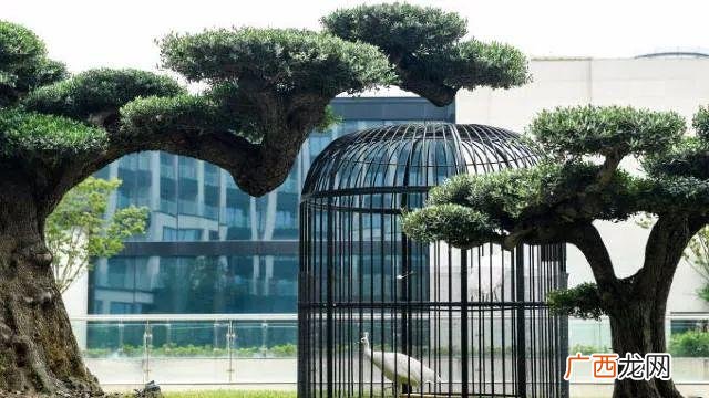 北京馋嘴鸭连锁加盟总部 北京烤鸭加盟连锁多少钱