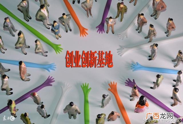 创业生态 创业十大项目