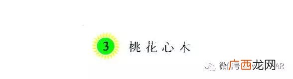 各种各样类似的词语 各种各样的意思是什么