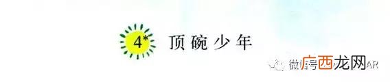各种各样类似的词语 各种各样的意思是什么