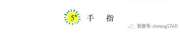 各种各样类似的词语 各种各样的意思是什么