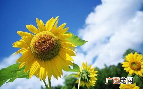 一无所有怎么贷款10万 创业破产负债