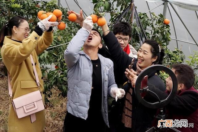 农村创业做什么最适合 农村创业好项目有哪些