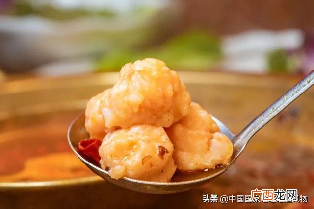 四川火锅加盟排行榜前十名,火锅食材加盟店10大品牌我的锅