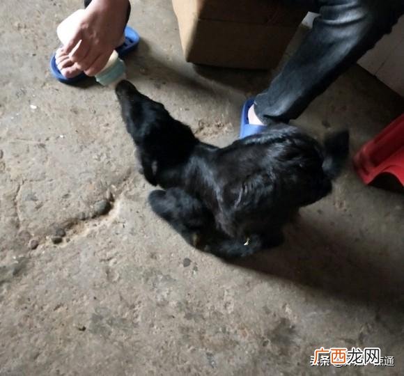 创业就像怀孕,刚创业就怀孕