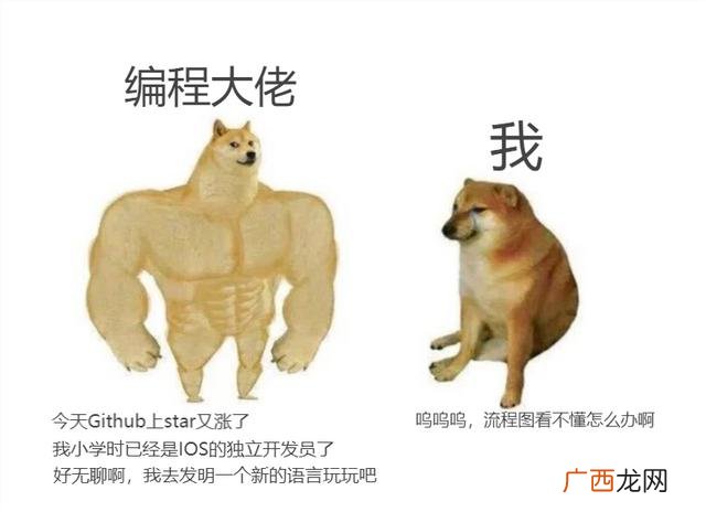 一个完整的项目流程图 软件项目开发流程图