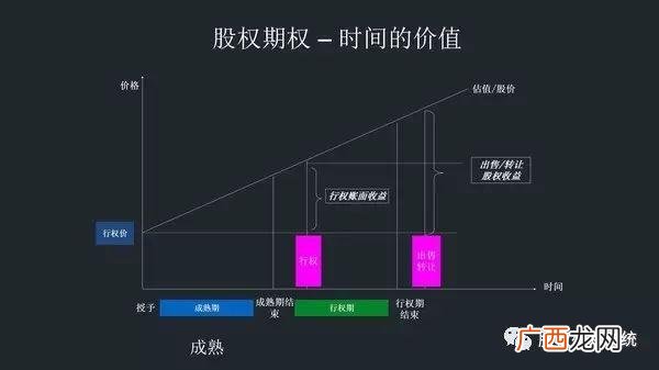 上市公司高管配股,创业公司高管一般持股多少