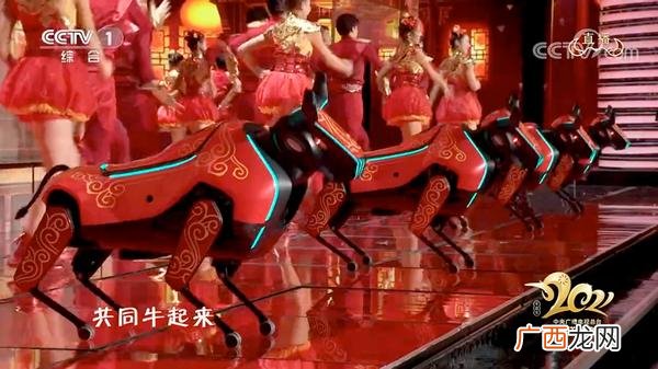 创业年代原型公司,创业年代晓彤