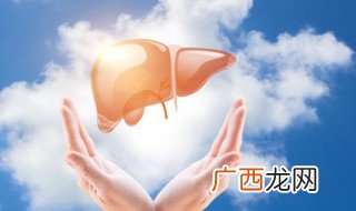 人体最大的消化腺是 人体最大的消化腺是什么