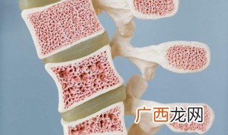 骨髓在人体哪个部位 骨髓在人体什么位置呢
