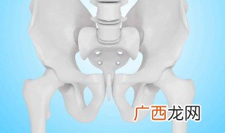 胯骨是哪个部位 胯骨指的是什么部位