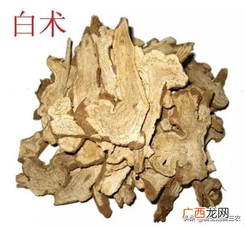 农村种什么最挣钱 农业创业致富