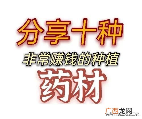 农村种什么最挣钱 农业创业致富