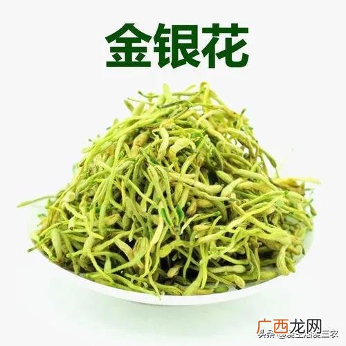 农村种什么最挣钱 农业创业致富