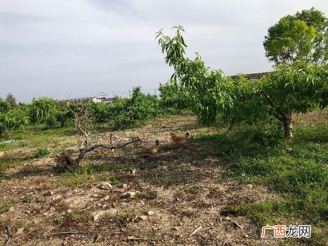 和父母借钱开店,如何跟父母要钱创业
