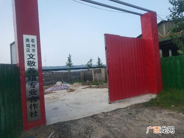 和父母借钱开店,如何跟父母要钱创业