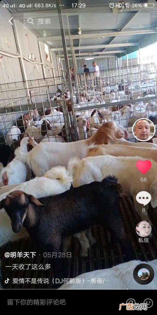 和父母借钱开店,如何跟父母要钱创业