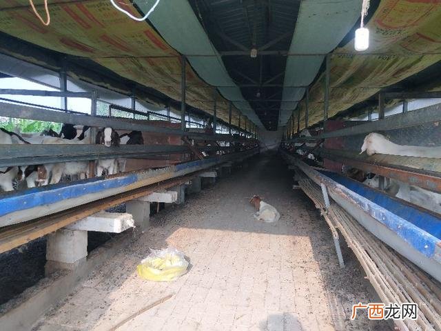 和父母借钱开店,如何跟父母要钱创业