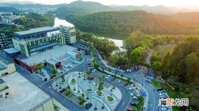 基层党建特色名字大全 党建项目名称有哪些