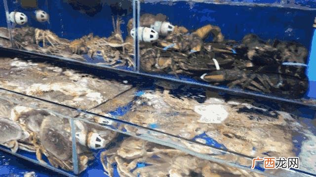 各种日杂生活用品批发 深圳日常生活用品批发市场